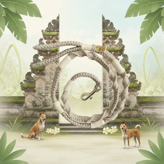 "The Mac". Macrame Dog Leash - Beige/ Creme