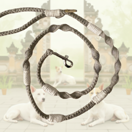 "The Mac". Macrame Dog Leash - Walnut