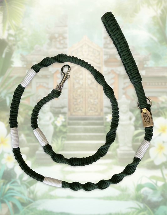 "The Mac". Macrame Dog Leash - Green