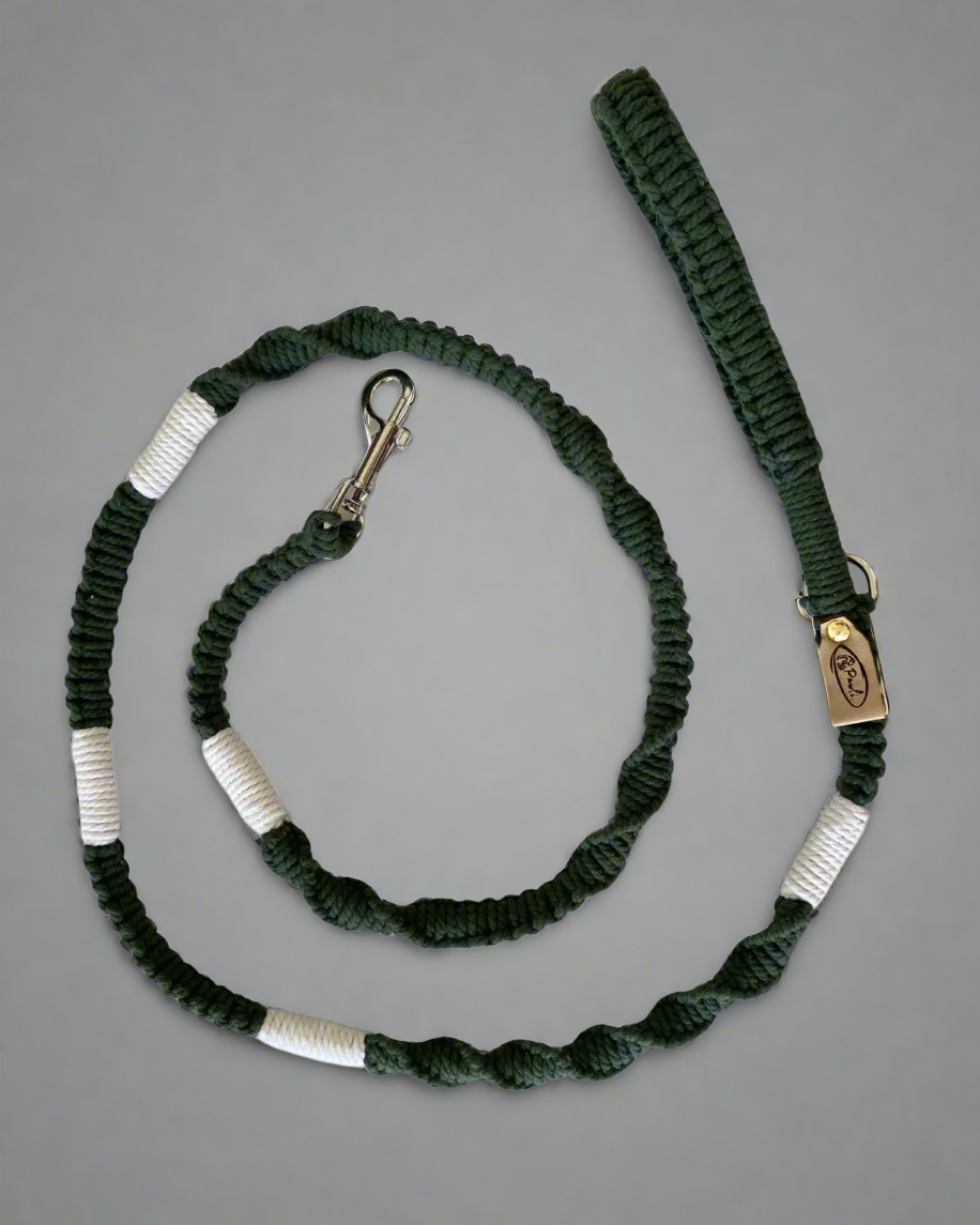 "The Mac". Macrame Dog Leash - Green