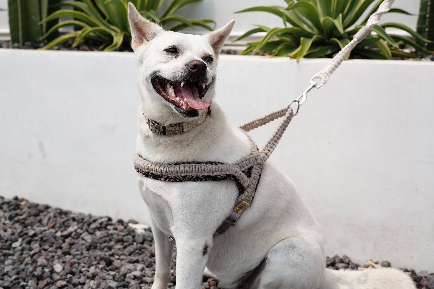 "The Mac". Macrame Harness - Beige