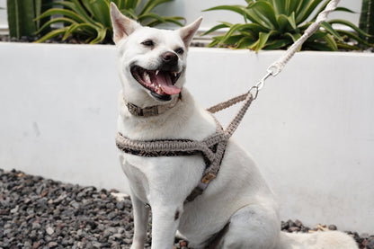 "The Mac". Macrame Harness - Beige